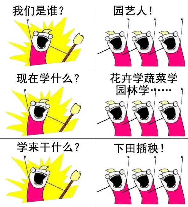 我们是谁梗出自哪图片4