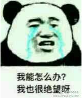 我能怎么办我也很绝望是什么梗？出处是什么？图片4