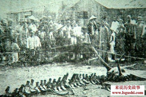 未解之谜的中国神秘事件全揭秘 中国之谜大全有哪些？[多图]图片6