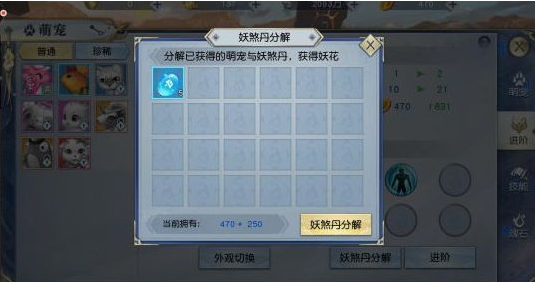 武动乾坤手游宠物怎么培养？宠物培养攻略详解图片3