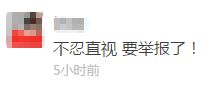 2017支付宝年度账单怎么看_在哪看[多图]图片6