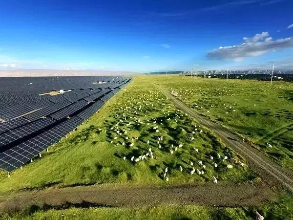 绿电行动丨国家电投黄河水电供电量达70%[多图]图片14
