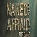 赤裸与恐惧游戏