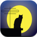 月光国际app