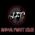 Animal fight club手游