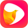 鸽迷视频app官方最新版下载 v1.0.2