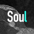 soul灵魂伴侣测试匹配社交软件手机版下载 v3.1.2