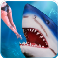 鲨鱼模拟器2020安卓版