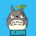 龙猫网站app激活码