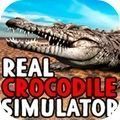 真正的鳄鱼模拟器安卓版