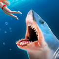 巨齿鲨模拟器游戏