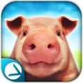母猪模拟器猪的一生游戏