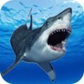 鲨鱼的致命袭击手机版