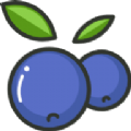蓝莓素颜照查看器app官方免费版 v1.3