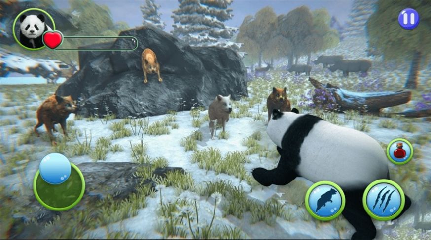 动物熊猫模拟器游戏安卓最新版图4: