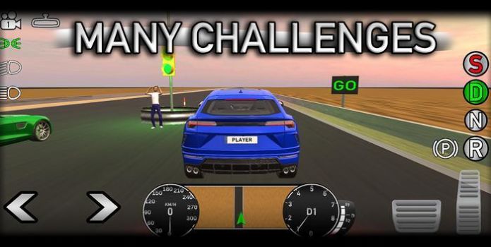真正世界驾驶员游戏安卓版图4: