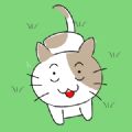 寻找小猫游戏安卓版 v1.4