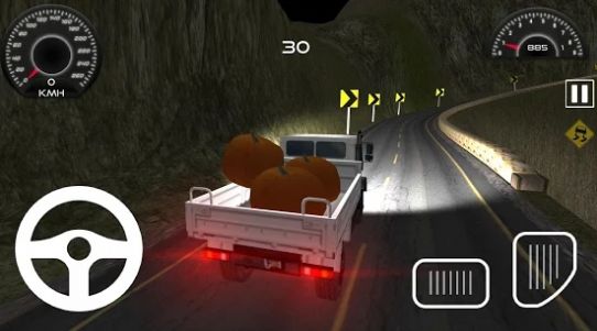 现代螺旋卡车驾驶模拟器游戏安卓版图2: