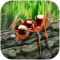 蚂蚁荒野生存模拟安卓版