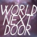The World Next Door中文