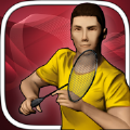 real badminton免费下载安卓游戏 v1.3