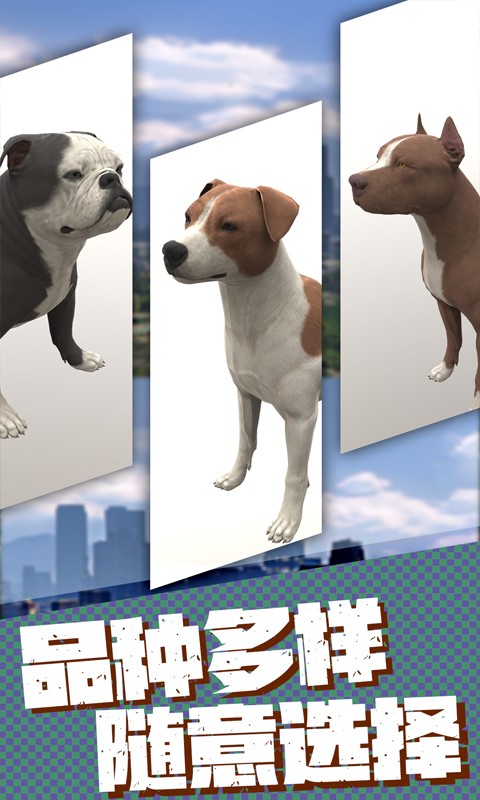 流浪狗生存模拟器游戏手机版图2: