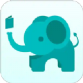大象书城app