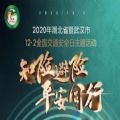 2020武汉市12•2全国交通安全日主题活动回放