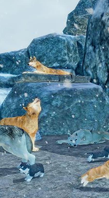 北极狼模拟器游戏中文安卓版图4: