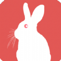小白兔社区app