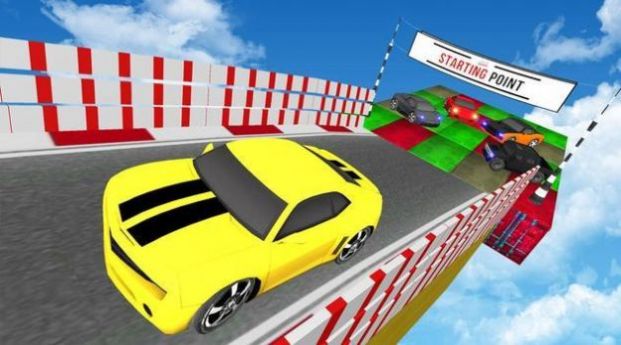极限特技飞车驾驶模拟器游戏安卓版图2: