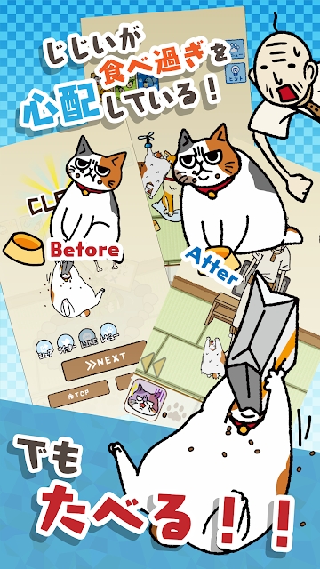 为饥饿的猫寻找饲料游戏安卓中文版图3: