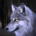 狼模拟器3D的野生动物游戏
