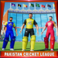2020年巴基斯坦板球杯游戏