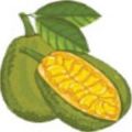 菠萝蜜短视频app