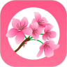 小桃红app