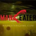 食人鲨Maneater安卓版