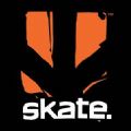 Skate Evaluation游戏