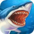 鲨鱼街玩游戏手机版 v1.0.3