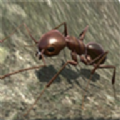 蚂蚁世界模拟器破解版