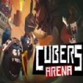 Cubers Arena游戏手机版 v1.0
