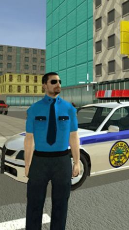 犯罪城市警察通缉安卓最新版 v1.0截图