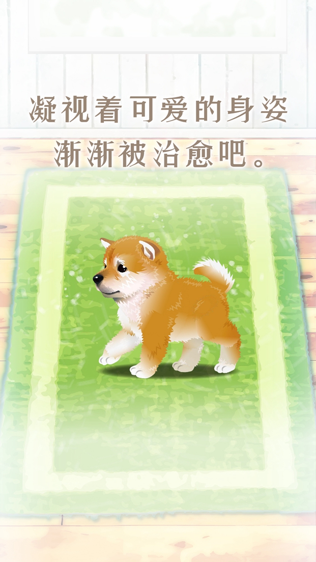 养育柴犬的治愈游戏官方安卓版图2: