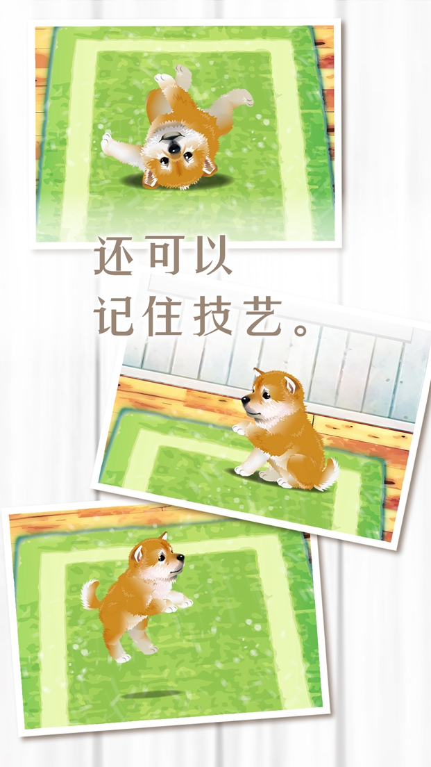 养育柴犬的治愈游戏安卓版图4