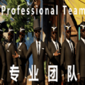专业团队中文版