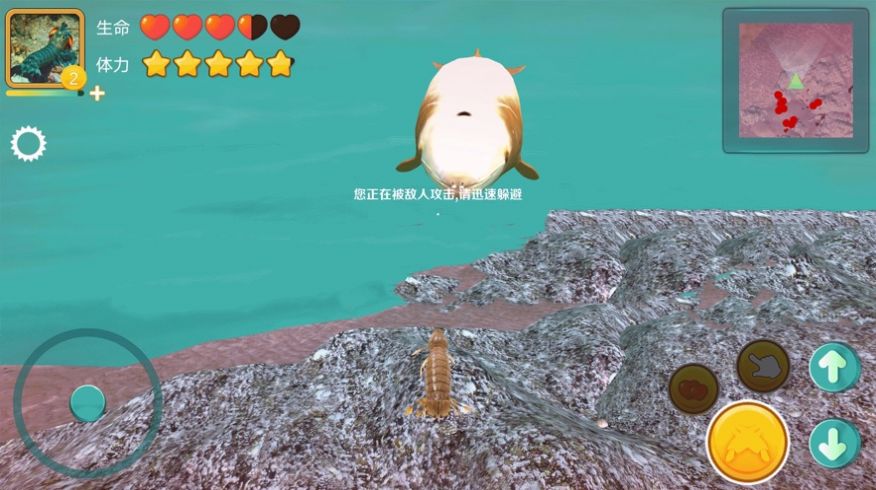模拟皮皮虾传奇游戏安卓最新版图3: