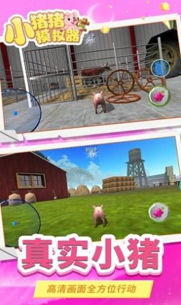 小猪猪模拟器游戏下载手机版图1: