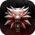 巫师怪物杀手手游IOS下载 v1.0