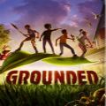 Grounded游戏