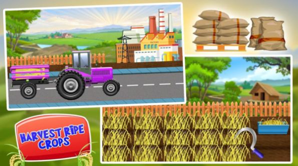 水稻种植工厂游戏安卓中文版图1: